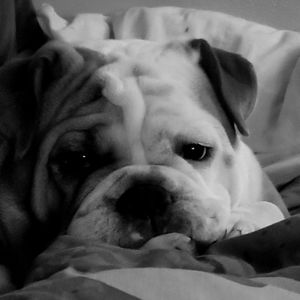 Meet your Posher, Gina